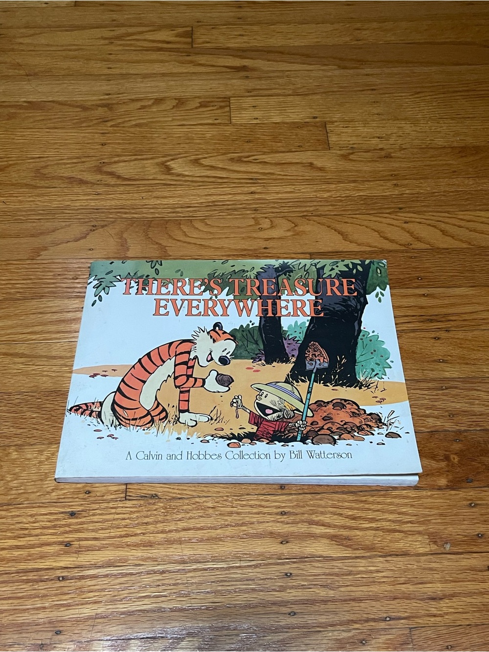 Calvin & Hobbes Collection - There's Treasure Everywhere